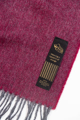 Chal Limited Edition Vino Tinto